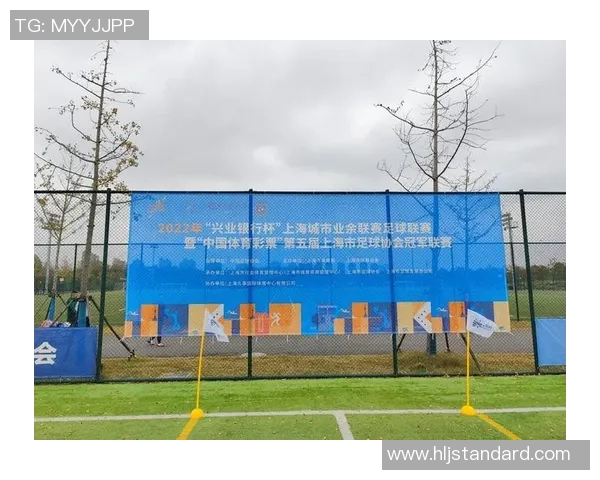 上海足球队在城市联赛中的战术分析与表现评估