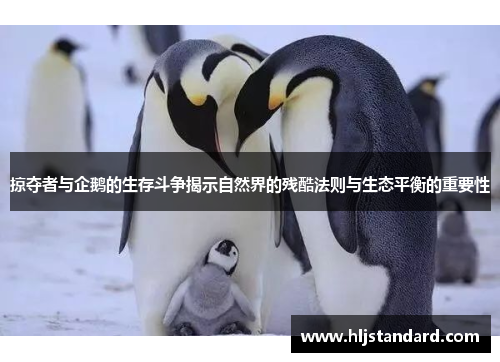 掠夺者与企鹅的生存斗争揭示自然界的残酷法则与生态平衡的重要性